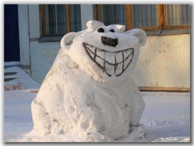 Daily Funny Pictures