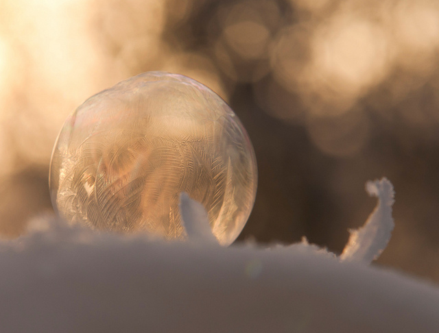 The Half Frozen Bubbles