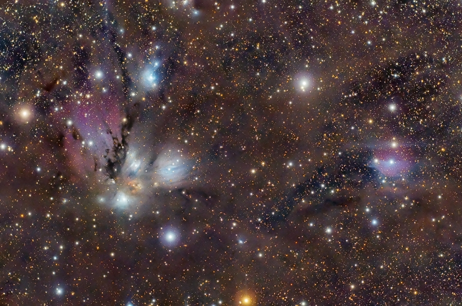 NGC 2170: Celestial Still Life