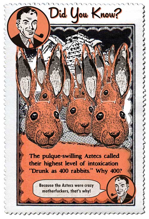 ilegal mezcal rabbits - Did You Know? Faro 202 00 Tundum umu The pulqueswilling Aztecs called their highest level of intoxication Drunk as 400 rabbits." Why 400? Because the Aztecs were crazy motherfuckers, that's why! mutta muut