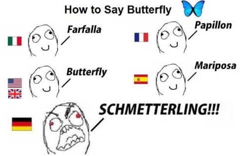 german butterfly meme - How to Say Butterfly Farfalla Papillon 1169 Farfalla 1 09 Papillon 9 mar Mariposa Butterfly Schmetterling!!!