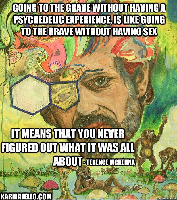 psychedelics quotes - Going To The Grave Without Having A Psychedelic Experience, Is Going To The Grave Without Having Sex Sen It Means That You Never Figured Out What It Was All AboutTerence Mckenna Karmajello.Com
