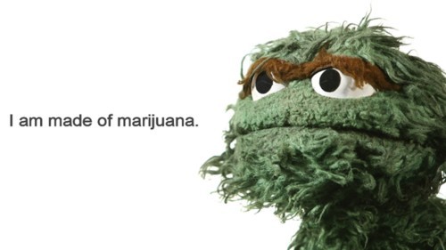 He is made of marijuana