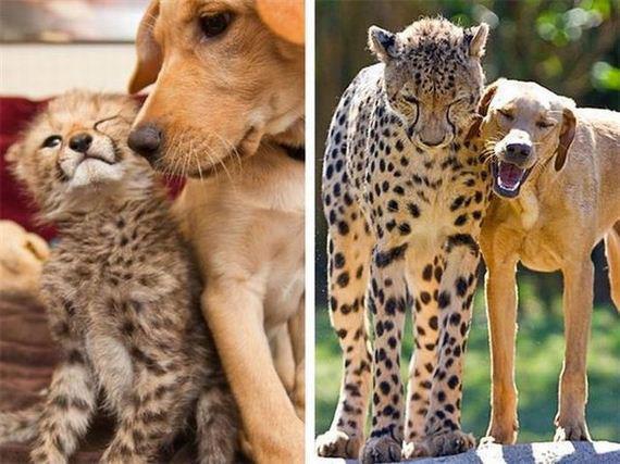 Cute & Funny Animal Photos!