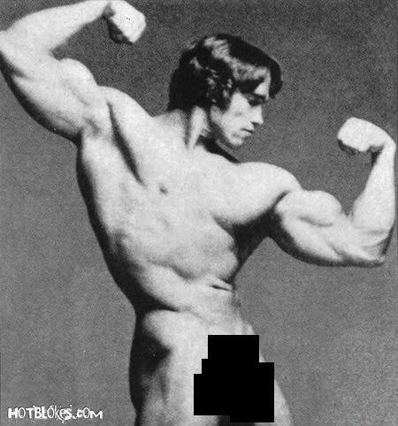 Arnold Schwarznegger. The former governor of California and body builder turned actor once did porn. That's one muscle we never really get to see.