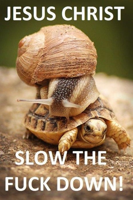 Slow down you are going way to fast