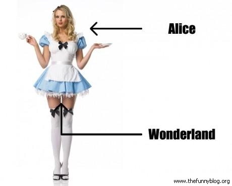 who wants to go to wonderland with me?