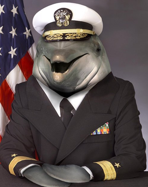 Admiral Dolphin