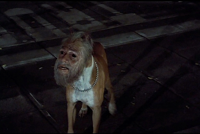 the weird creepy dog with a mans face from invasion of the body snatchers