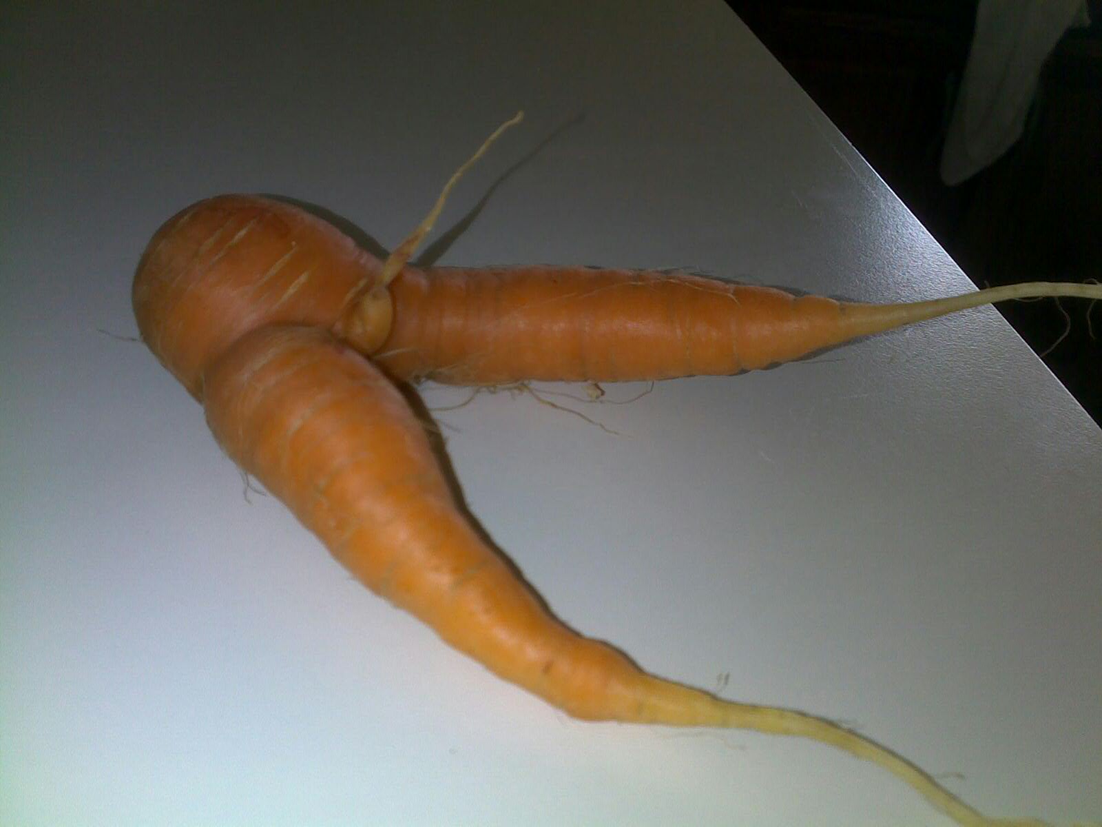 Carrot Package