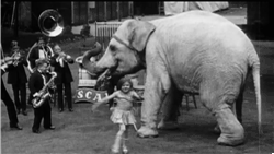 elephant dance animated gif
