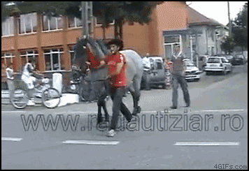 Hilarious GIFs of today pt1