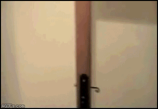 Hilarious GIFs of today pt1