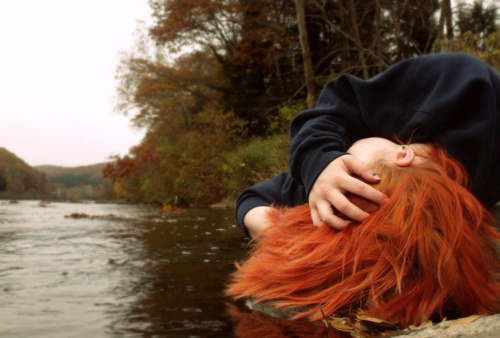 Redheads in Nature