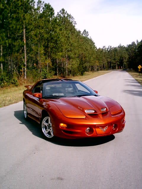 You know are driving a Trans Am when you are driving 20mph and kids stop and stare and old ladies yell 'slow down'.