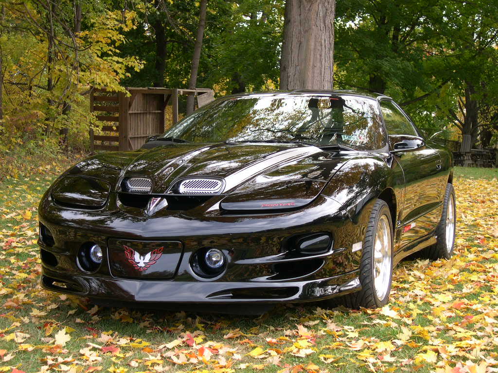 You know you drive a Trans Am when people ask if you're the Bandit.