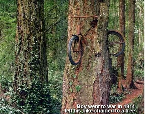 Boy went to war in 1914 and left his bike chained to a tree.

