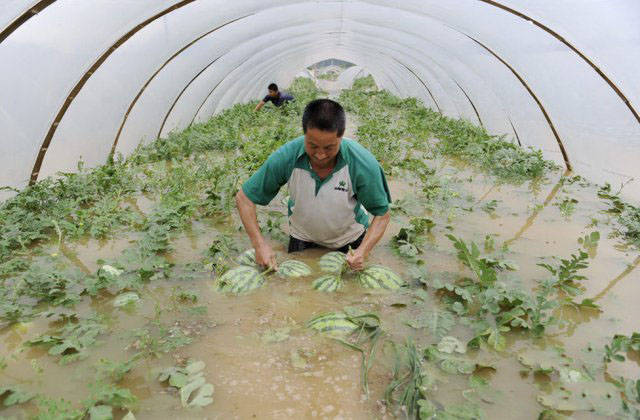 china farming floods