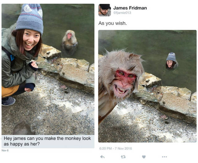 james fridman - James Fridman whjamie013 As you wish. Hey james can you make the monkey look as happy as her? Nov