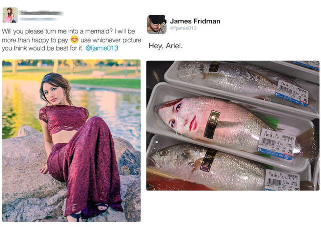 fridman memes - James Fridman samo013 Will you please turn me into a mermaid? I will be more than happy to pay use whichever picture you think would be best for it. Hey, Ariel.