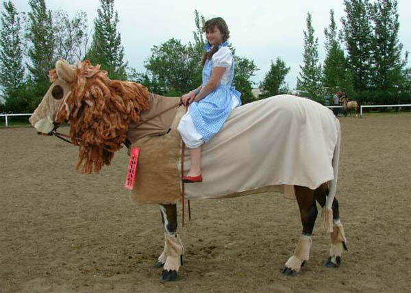 Horses in Costume