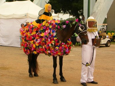 Horses in Costume
