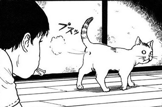 weird anime cat fart