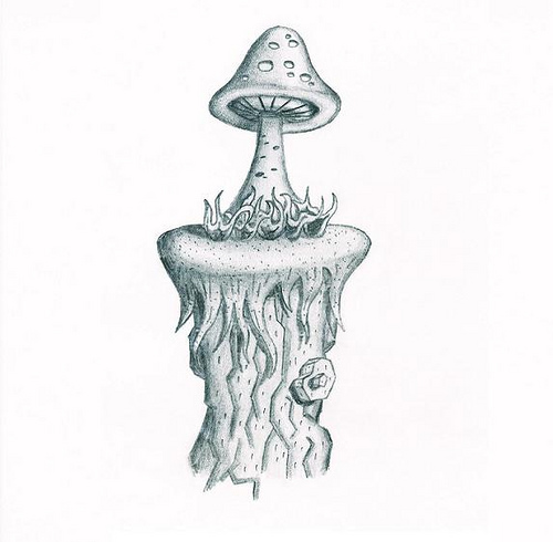 Magical Mushroom Gallery 1