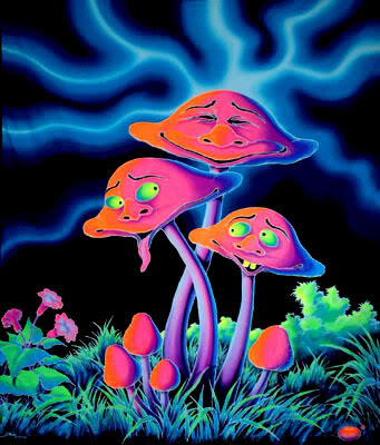 Magical Mushroom Gallery 1