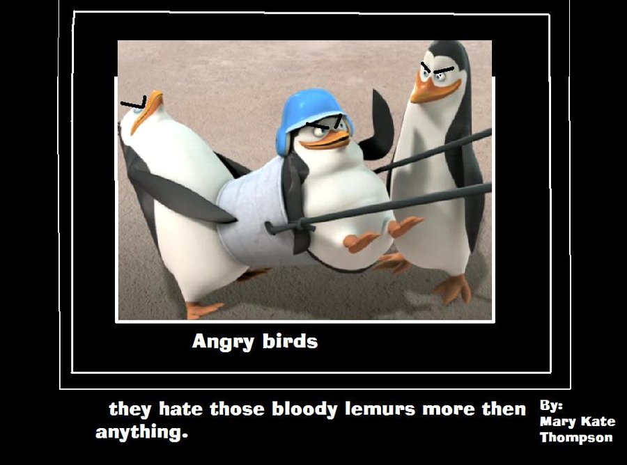 Angry birds they hate those bloody lemurs more then By anything. Mary Kate Thompson