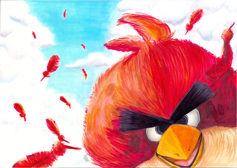 angry bird painting