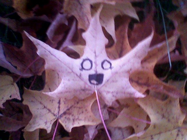 Got really stoned one day and decided to draw a freaked out face on leaf.