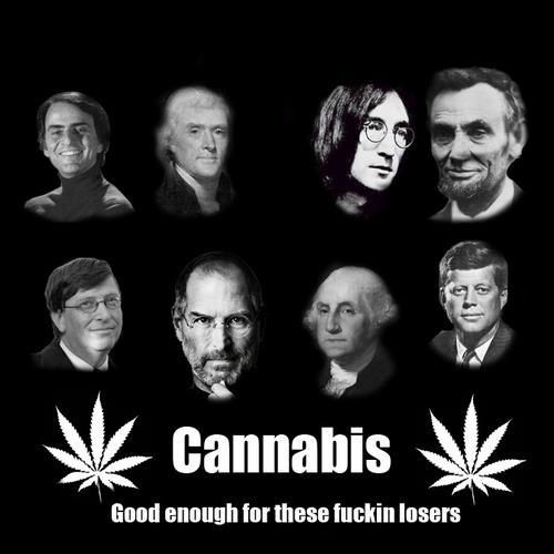 Marijuana facts and opionions