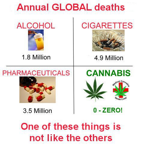 Marijuana facts and opionions