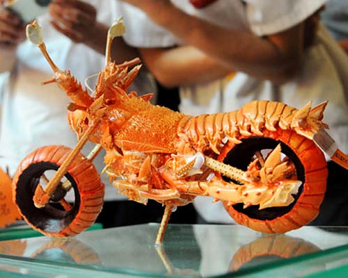 Lobster Bike