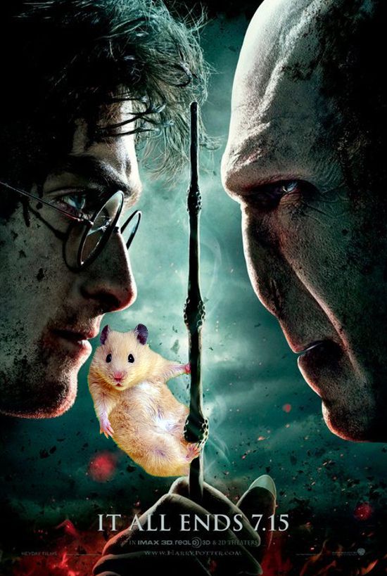 harry mouse