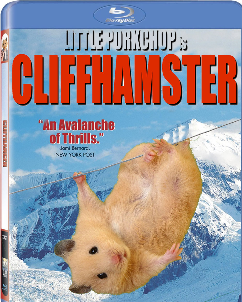 Cliff Hamster