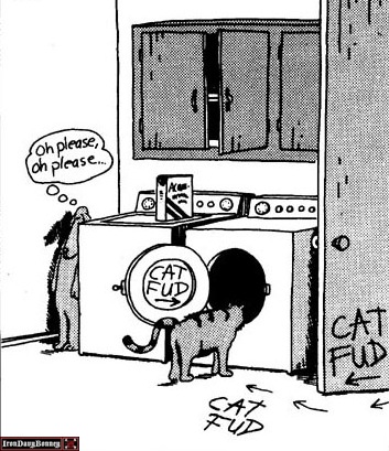 Cat fud... Oh Please, Oh Please...