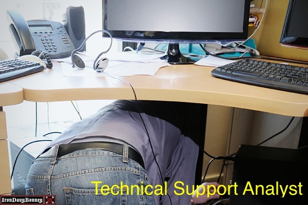 desk - Technical Support Analyst Iron Davy Bonney