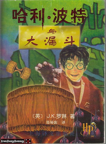Fake Harry Potter Book