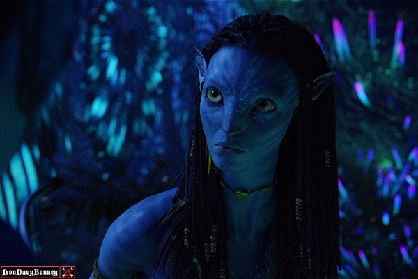 #1 - Avatar (20th Century Fox) Domestic gross: $761 million