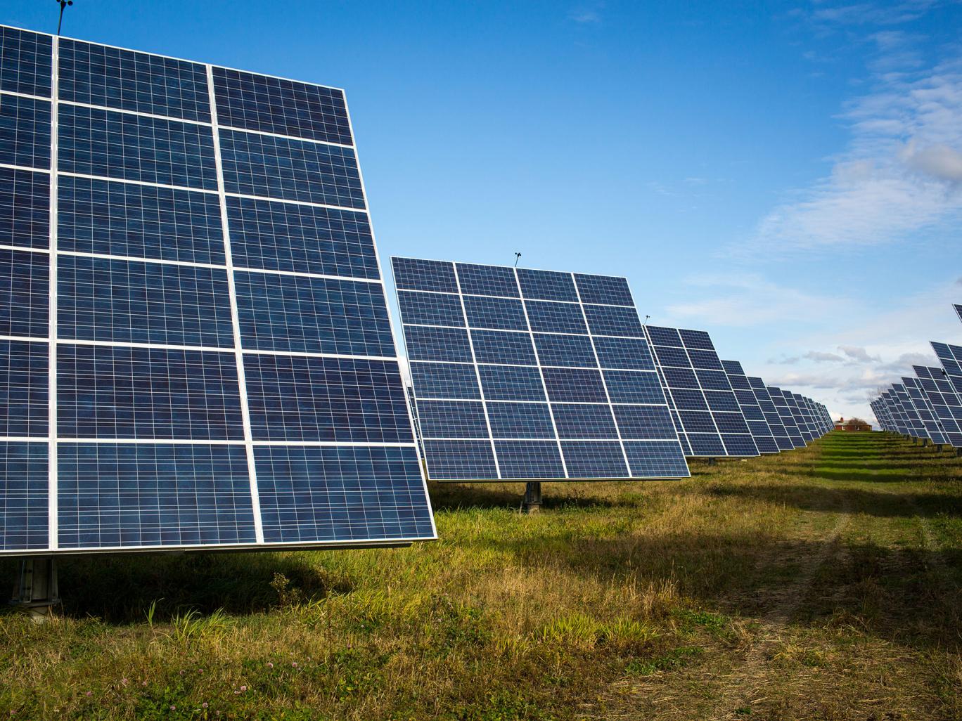 The town of Woodland, North Carolina rejected a free solar farm. These backward hillbilly Republitards are afraid solar panels will suck the energy out of the sun. Republitards, one step lower than dumb.