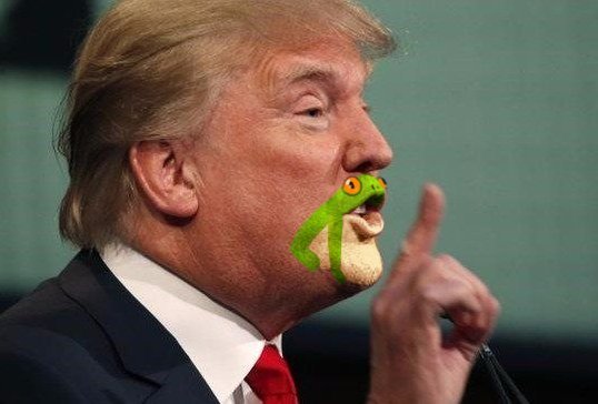 Drumpf's Chin Looks Like a Toad