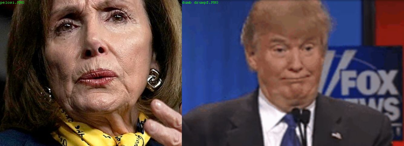The RNC hired Public Opinion Strategies to conduct a private poll asking Republican voters who they would support if elections were held in November - A Nancy Pelosi candidate or one Dickwad Drumpf chooses. 50% chose Pelosi while Drumpf garnered 45%. Republicans siding with Pelosi? Bwahaha