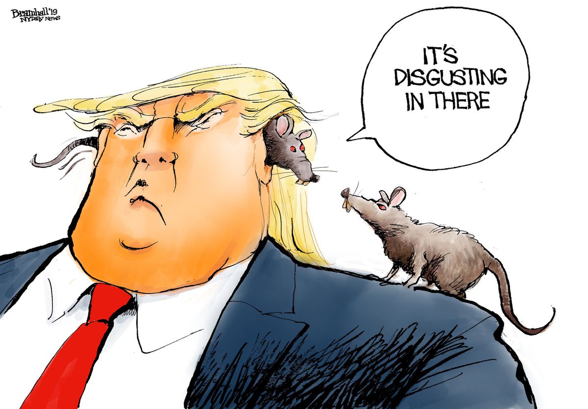 trump rat baltimore - Bramhall 19 Ny Daily News It'S Disgusting In There Tec malo