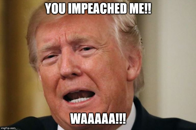 donald trump as a teenager - You Impeached Me!! Waaaaa!!! imgflip.com