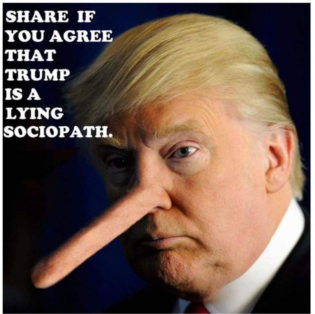 dong trump - If You Agree That Trump Is A Lying Sociopath.