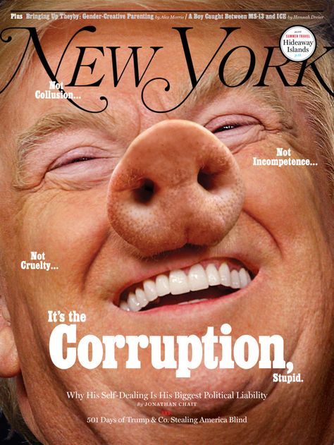 current new york magazine cover - Plas Bringing Up Theyby GenderCreative Parenting dalam A Boy Caught Between Ms13 and Ice Dreier Shri Hideaway Islands New Vora Collusion... Not Incompetence... Not Cruelty... It's the Corruption, Stupid. Why His SelfDeali