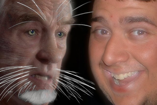 Ron Paul is a much better candidate  as a Cat says Jon.