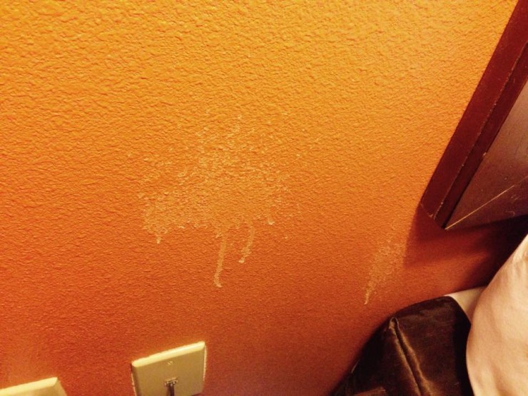 13 Things You DO NOT Want To See In Your Hotel Room